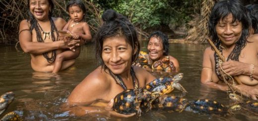 Contacted members of the Awá of Brazil, only 100 of whom remain uncontacted by civilization