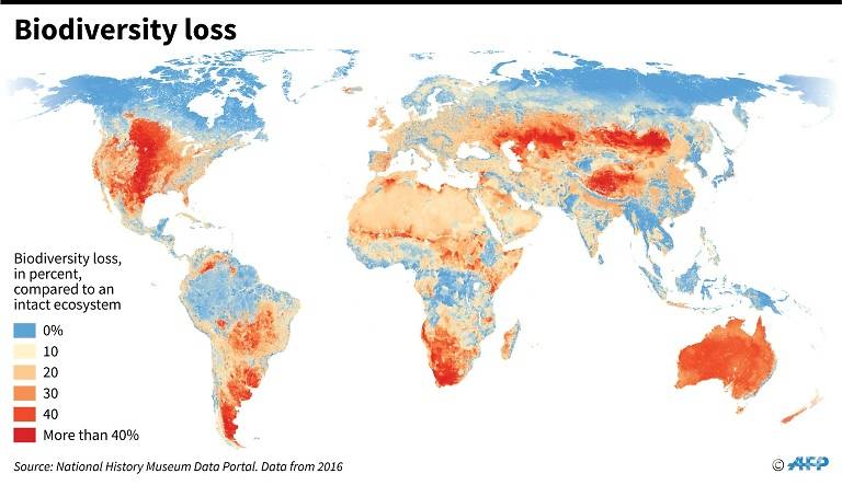 mass extinction