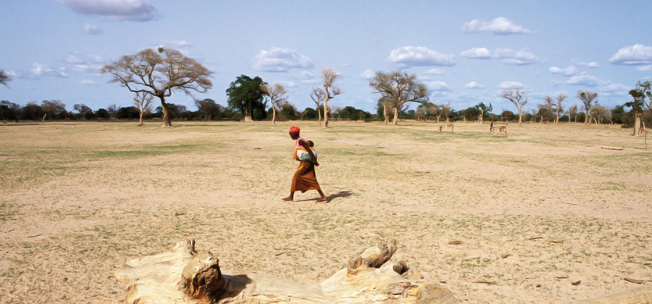 The plan for a Great Green Wall to beat back the Sahara needs a rethink