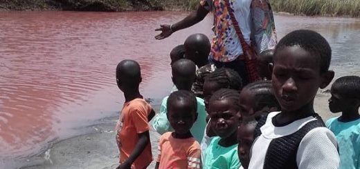Golden Lead Factory in Gunjur (the Gambia) poisoned Bolong Fenyo Wildlife Reserve in 2017