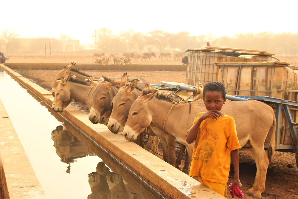 Climate change is plunging Senegal’s herders into poverty