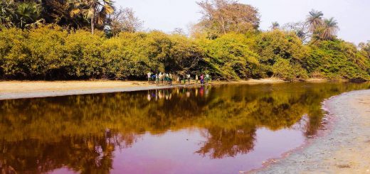 Bolong Fenyo Wildlife reserve, after the chinese came and installed a pipeline for their waste water