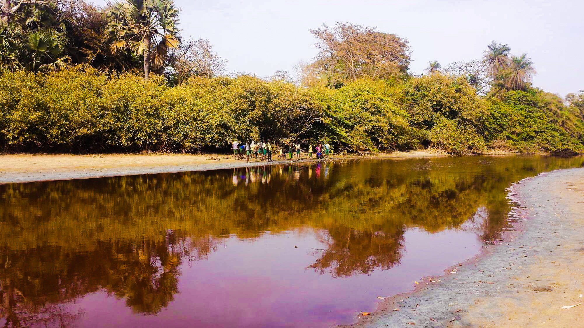 Bolong Fenyo Wildlife reserve, after the chinese came and installed a pipeline for their waste water