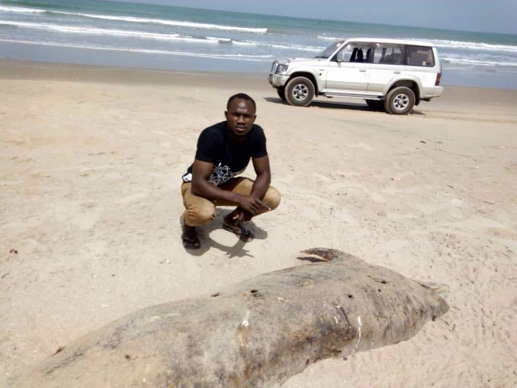 Tourist were spreading pictures with other dead mammals found on the beach on Facebook