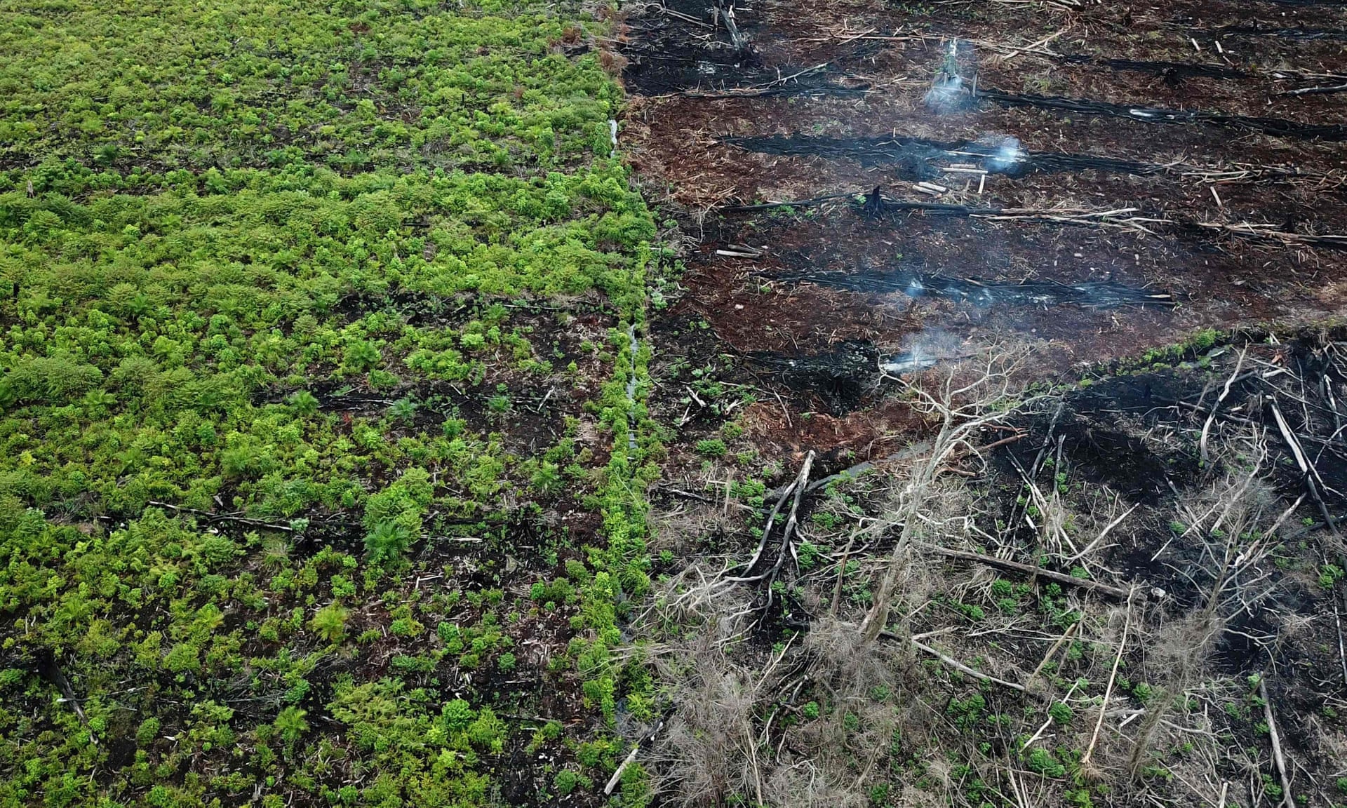 A protected area of the Rawa Singkil wildlife reserve in Trumon, South Aceh is being burnt for a new palm oil plantation. Photograph: JANUAR/AFP/Getty Image