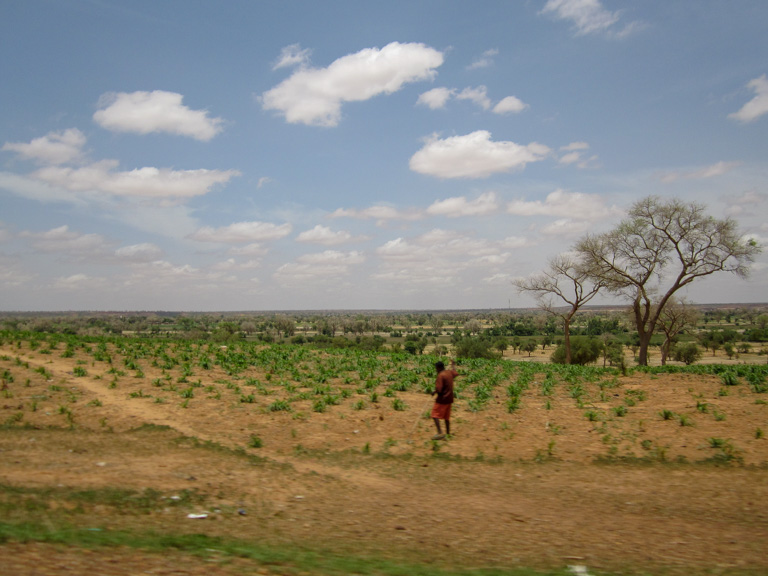 A farmer walks through the Sahel in Niger. Image by John C. Cannon/Mongabay.