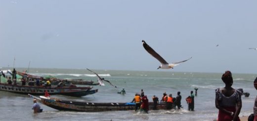 Tanji fishing village beach. Image by Nosmot Gbadamosi. The Gambia, 2018.