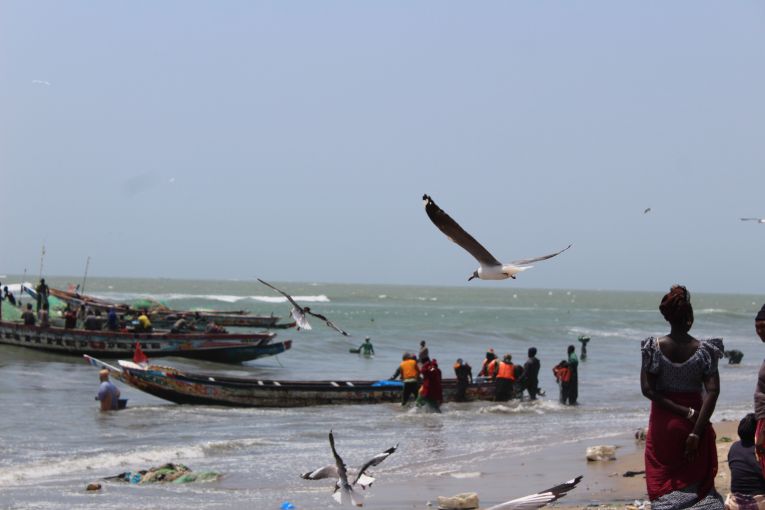 Tanji fishing village beach. Image by Nosmot Gbadamosi. The Gambia, 2018.