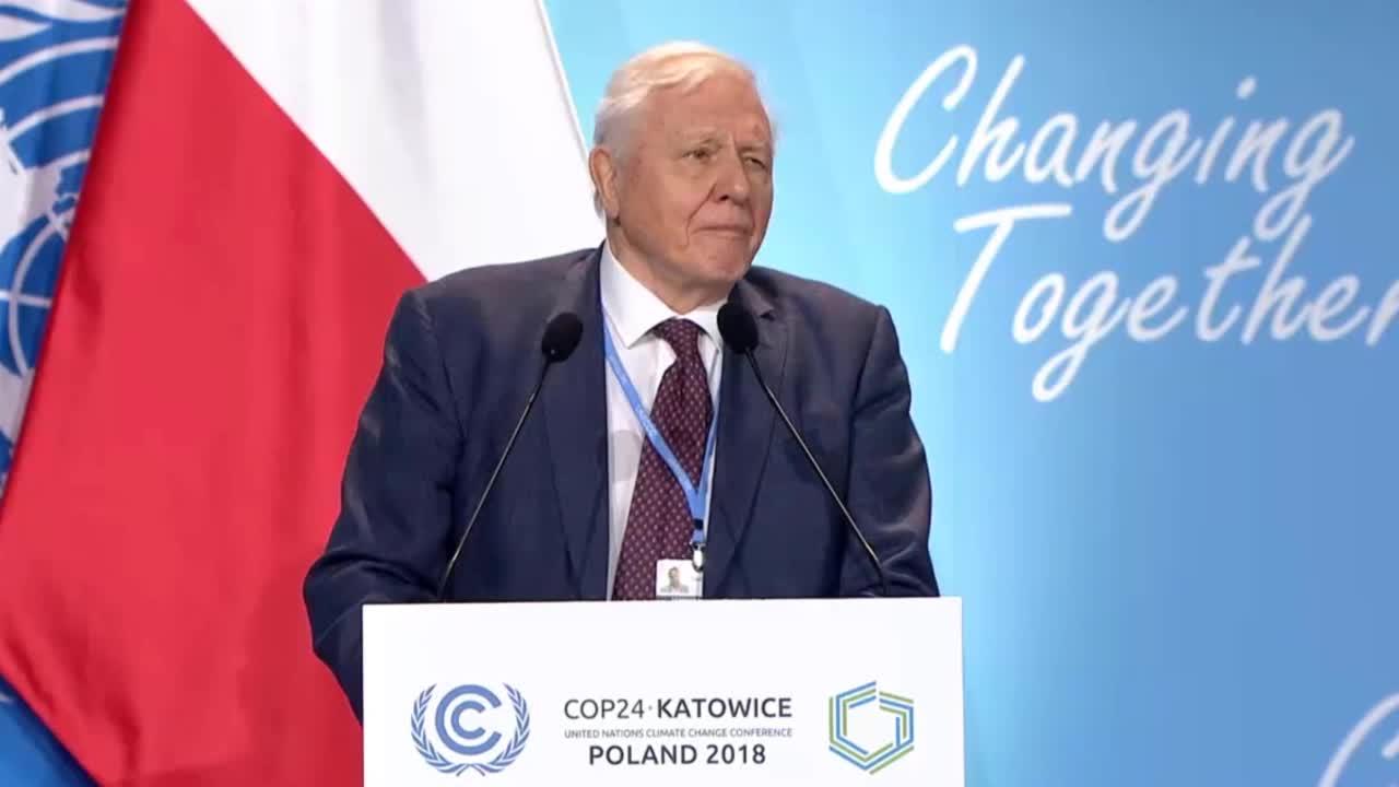 David Attenborough: collapse of civilisation is on the horizon