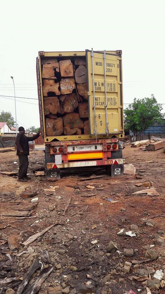 Gambia: Our Forests Are Crying For Help