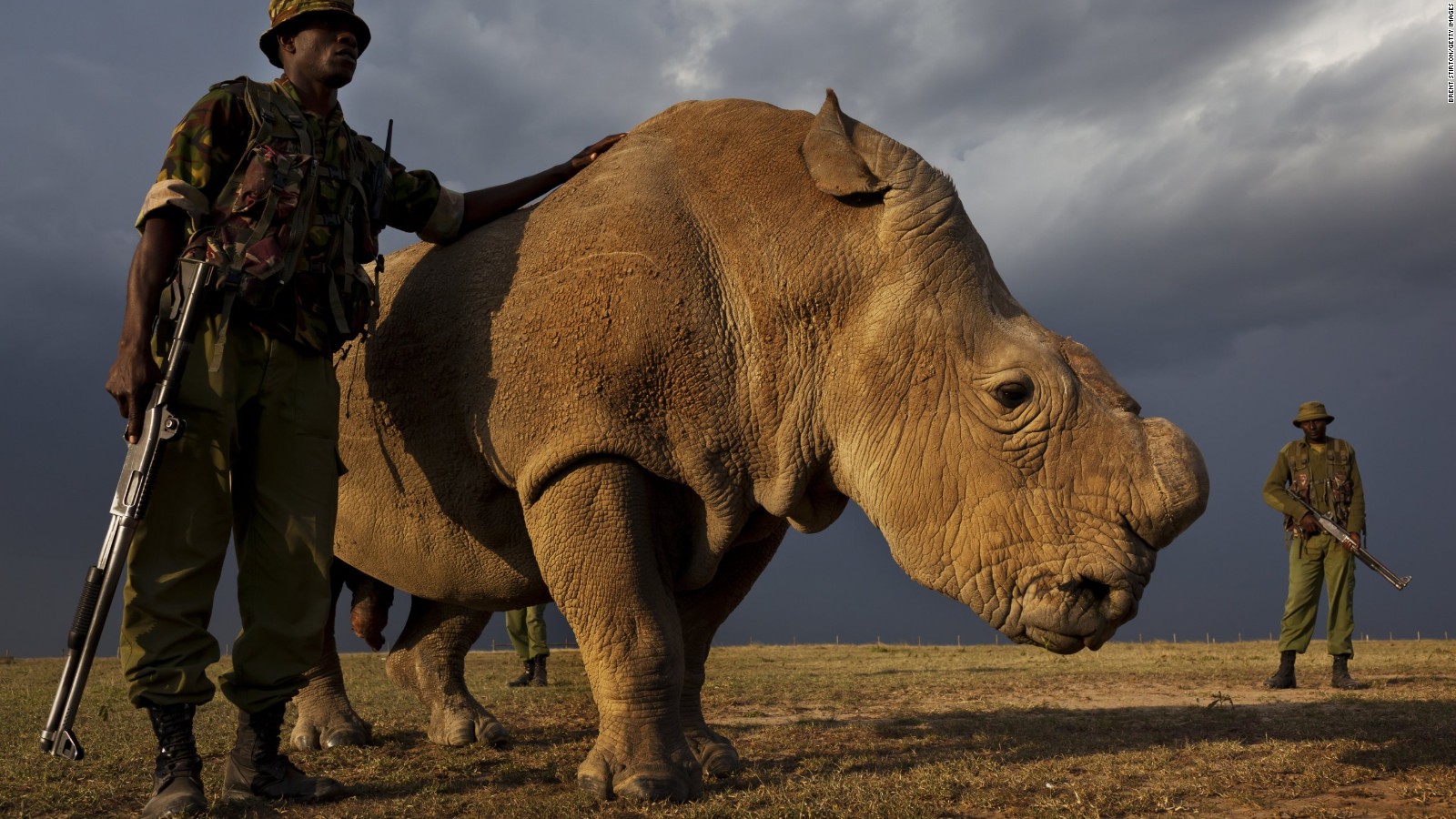 Kenya Announces Death Penalty for Poachers