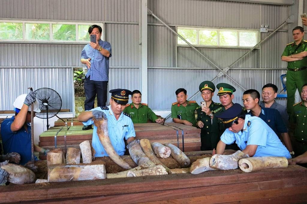 African Ivory in Vietnam