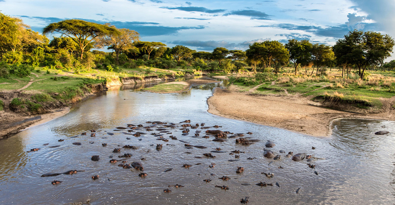 Tanzania Plans To Deforest 150.000 HA Of Its Largest Forest This Summer