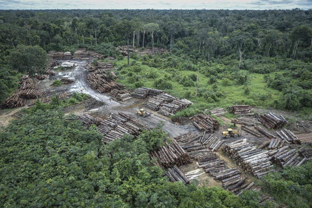 The Planet Loses 40 Soccer Fields Worth Of Forests Every Minute