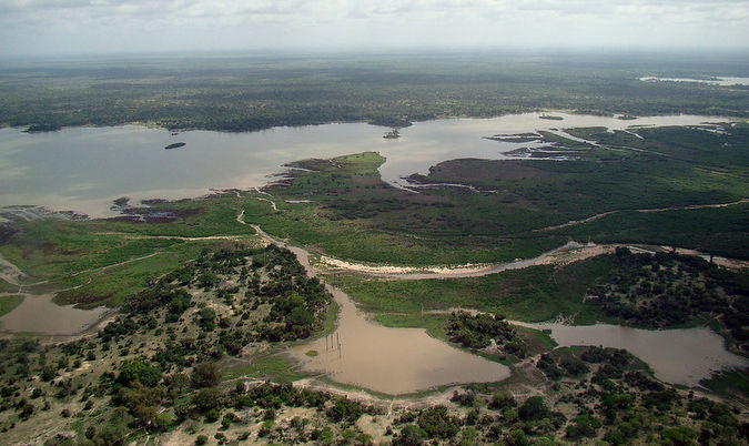 Tanzania: Lodge Closes As Loggers Move In Unexpected To Deforest Selous Game Reserve