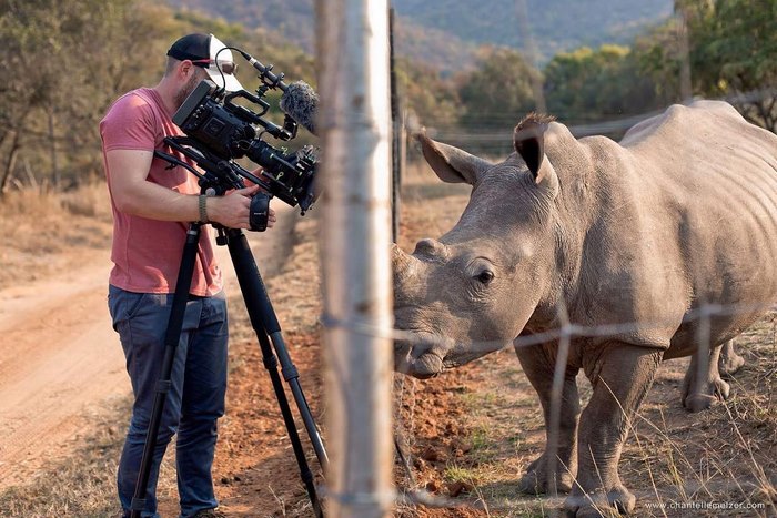 rhino belly rub