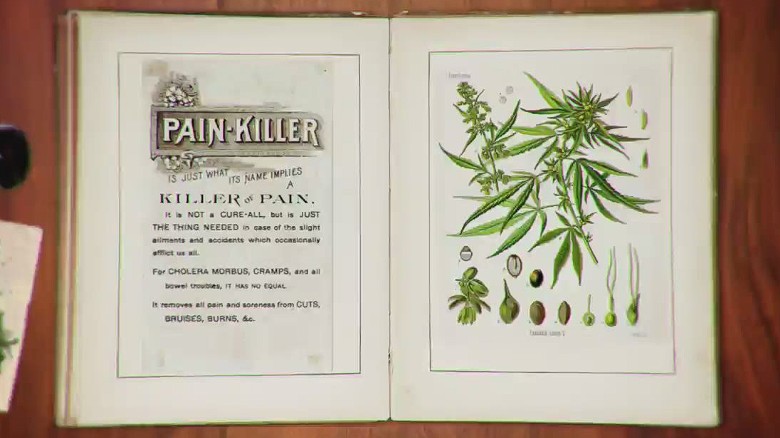 World Health Organization Marijuana