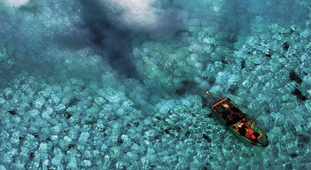 Chinese Clam Poachers Destroying Entire Reef in The Philippines
