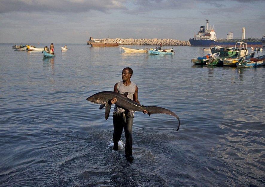 Somalian Fishing rights China