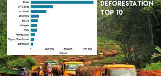 deforestaton top 10 countries