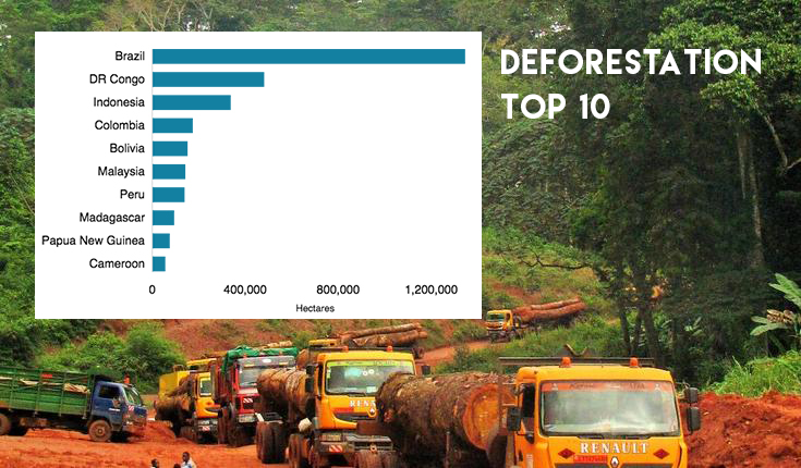 These Are The Countries With The Greatest Primary Forest Loss in 2018