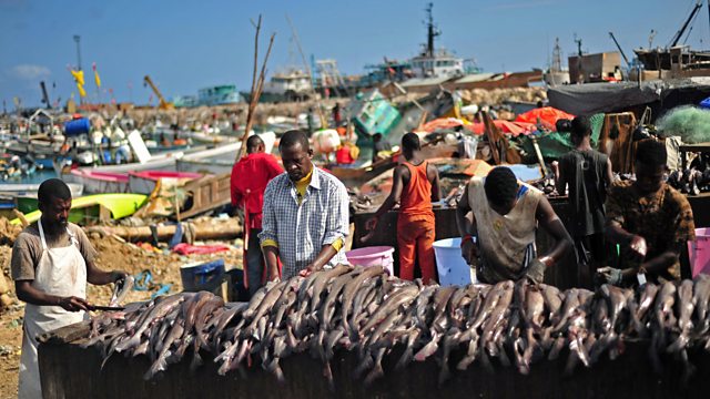 Somalia Government Gives Up Its Fishing Rights To China