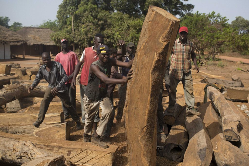 deforestation west africa