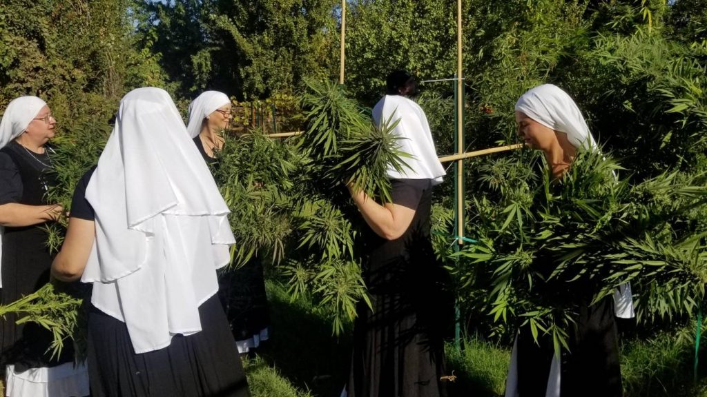 weed nuns