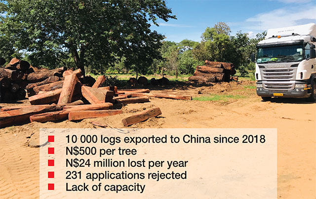 How Namibia Is Robbing Itself: 10.000 Logs Exported to China losing 24 million