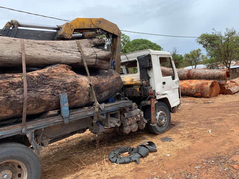 The Gambia is losing more forest cover in record speed