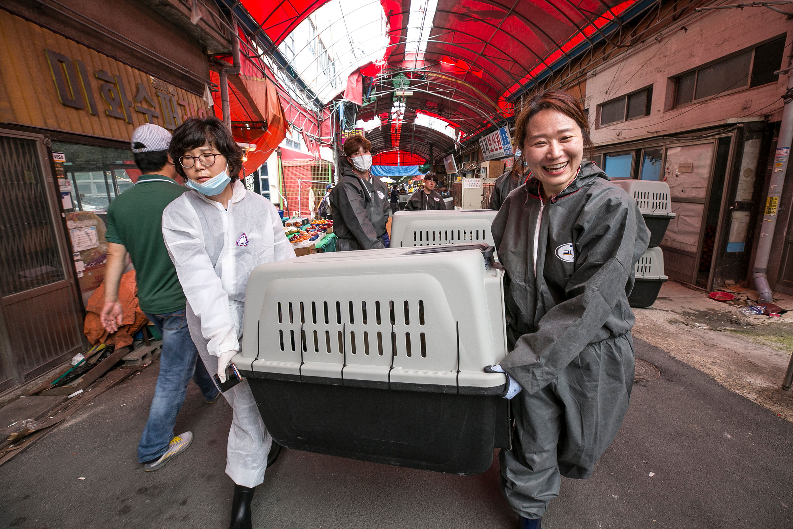 Notorious South Korea Dog Meat Market Shut Down