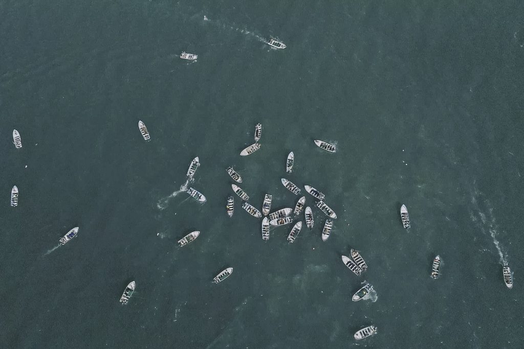 mexico vaquita poachers