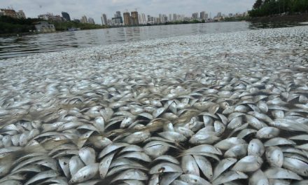 China Dumps Chemicals around Kalayaan Island to drive away Filipino fishermen